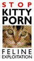 Help stop kitty porn